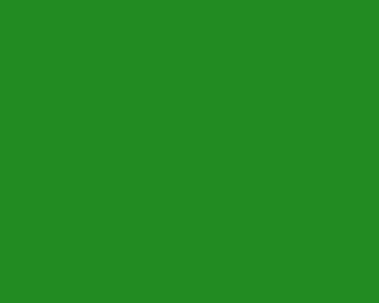 Green Color Background Web Solid