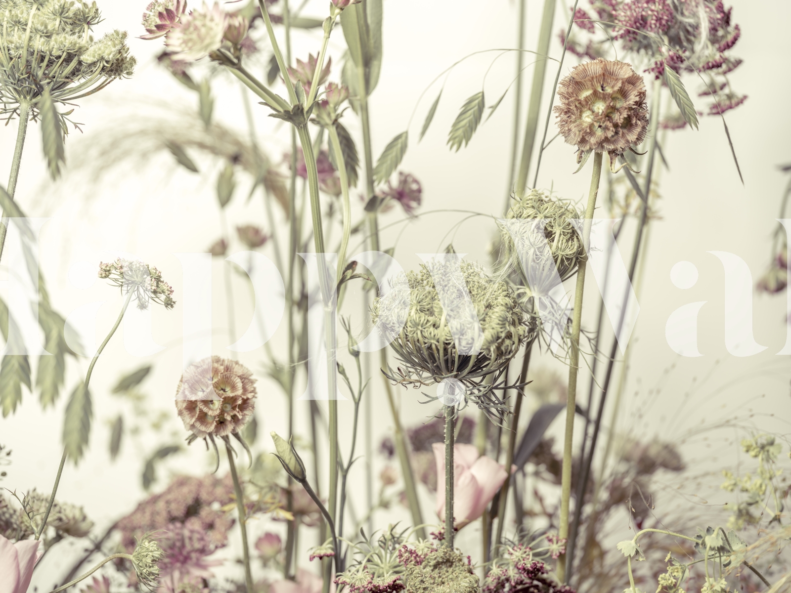 Vintage Wildflowers Wallpaper