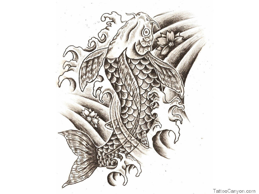 Wallpaper Koi Fish Tattoo Picture