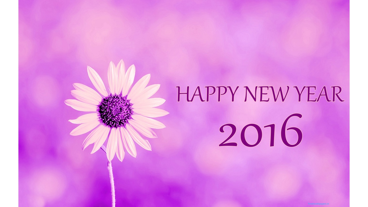 New Year Wishes And Greetings Wallpaper
