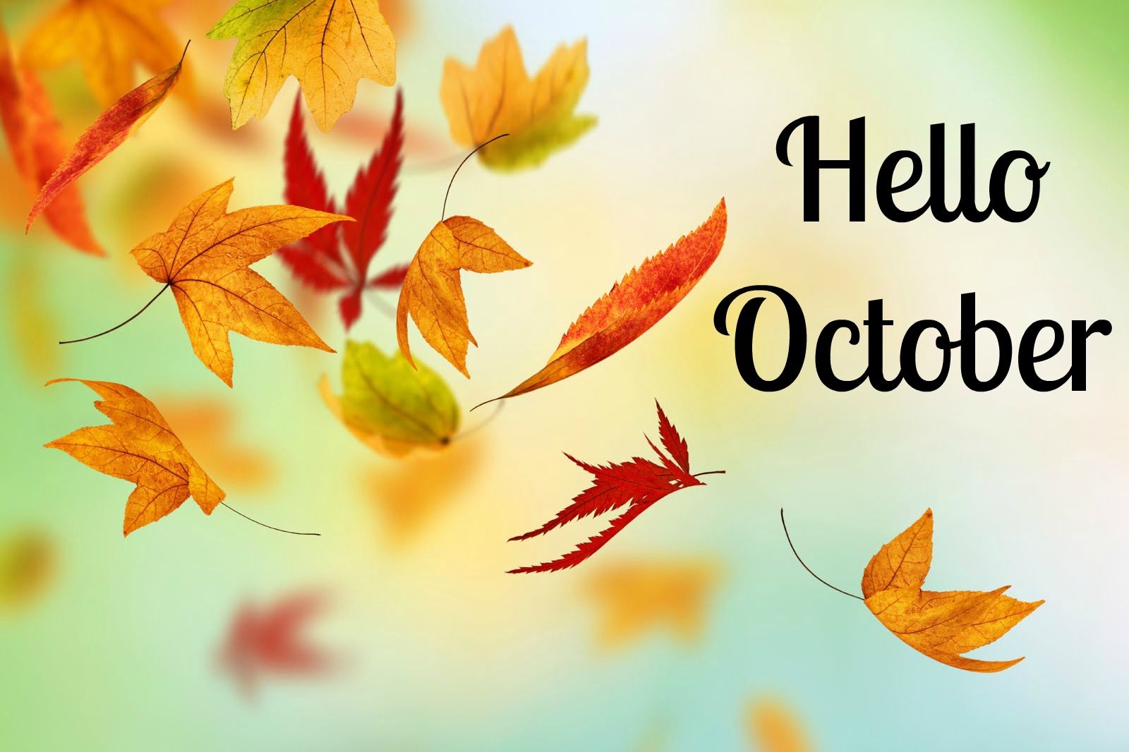 Hello October Quote With Falling Autumn Leaves Pictures Photos