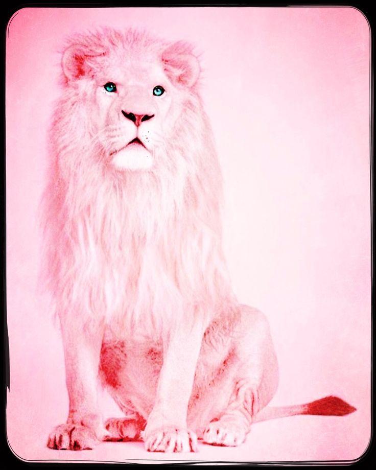 Lillian Hammer on colors Pink glitter wallpaper Glitter