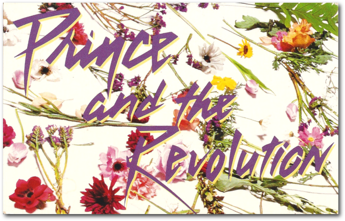 Purple Rain Postcard Prince And The Revolution