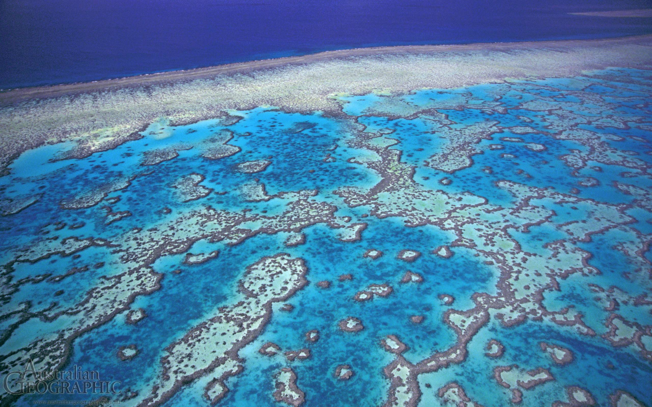 Great Barrier Reef Wallpaper HD New Image