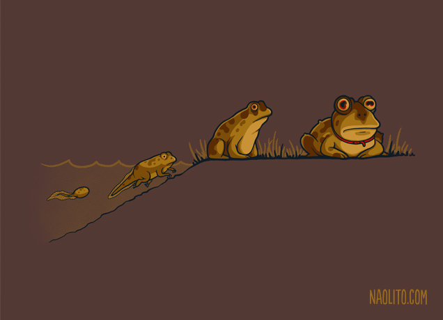 Evolution of Hypnotoad by Naolito on