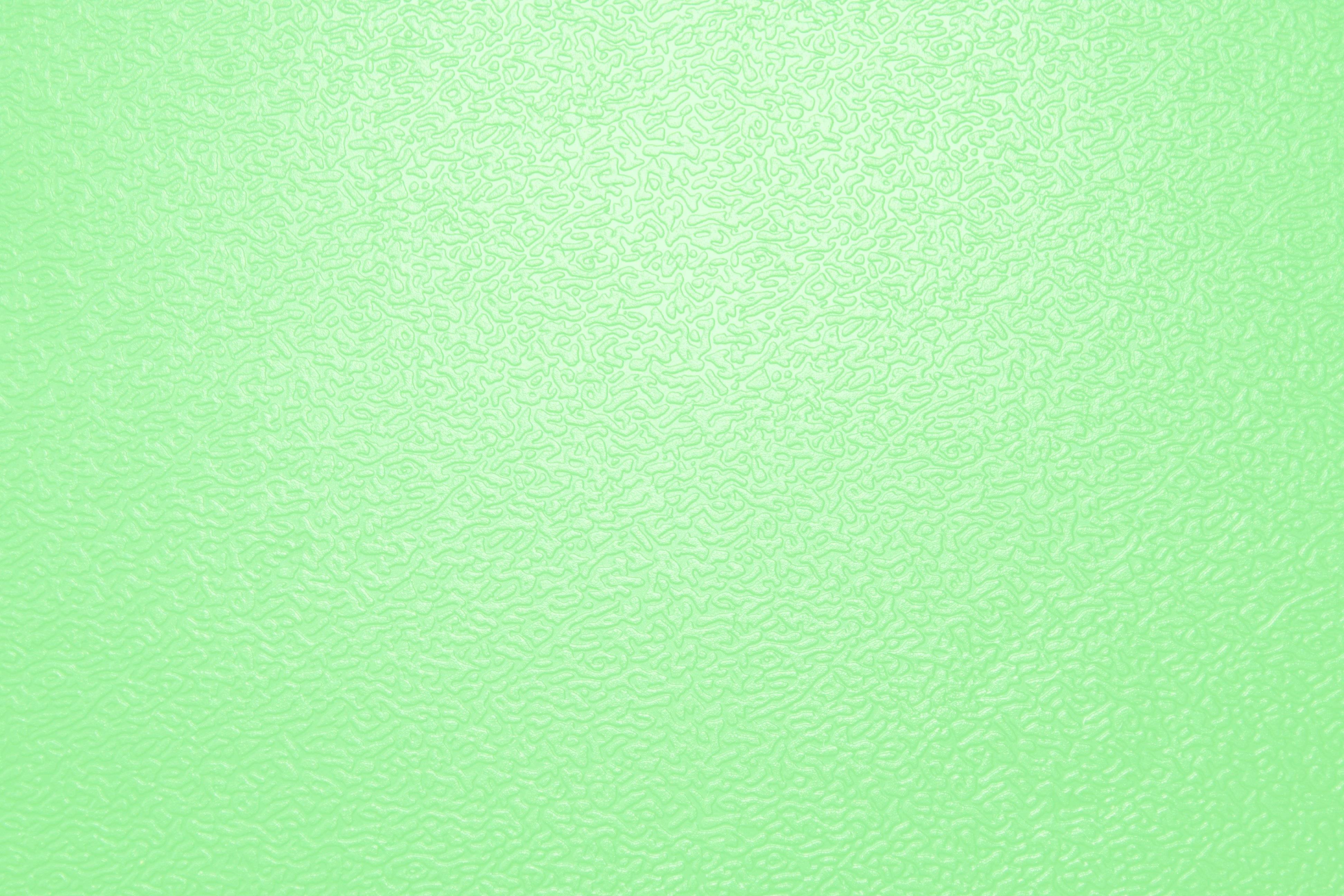 Light Green Background Solid - TarifSaliba.blogspot.com