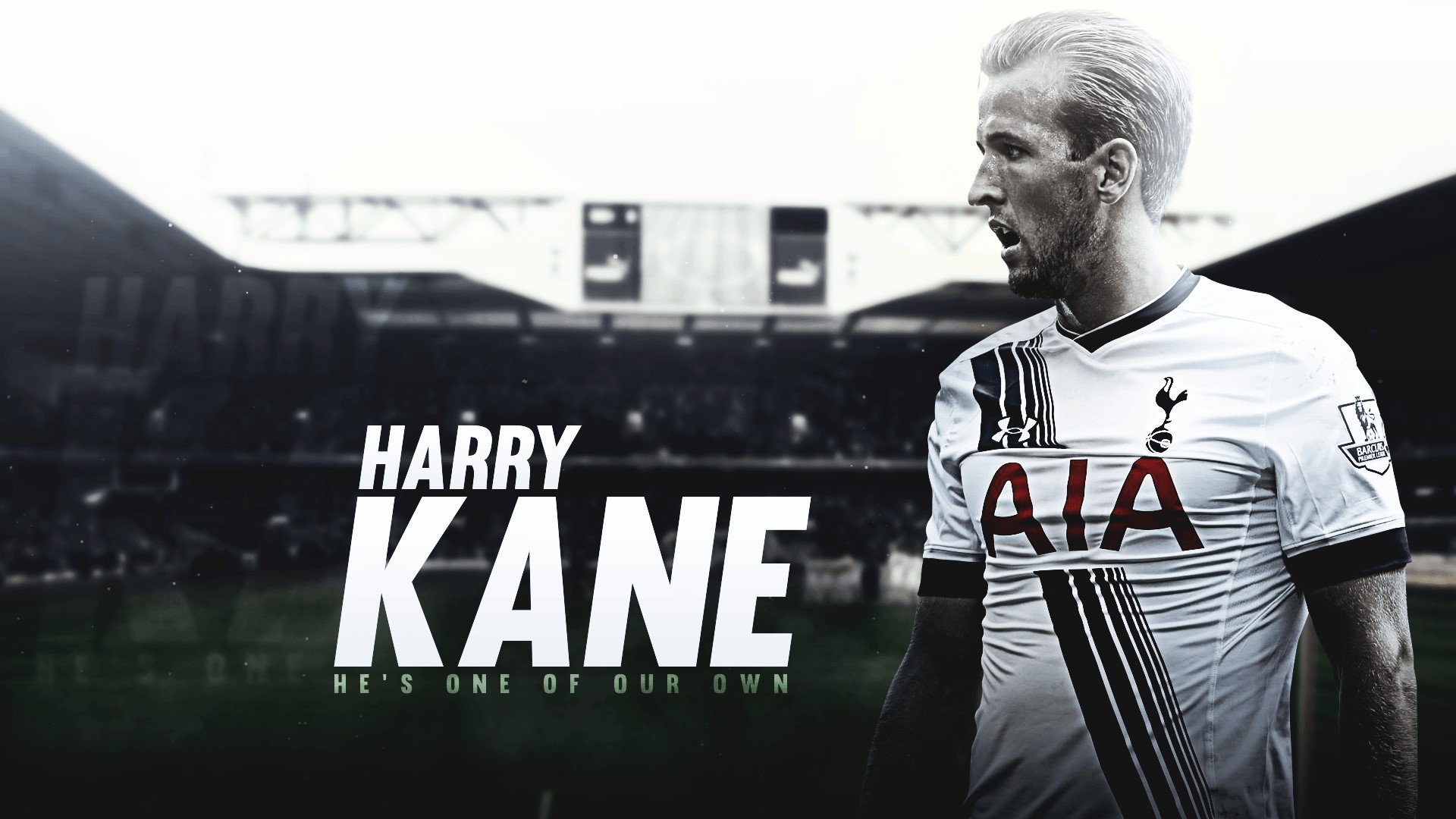 Harry Kane Wallpaper