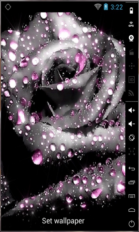 Gorgeous Grey Rose Live Wallpaper For Your Android Phone