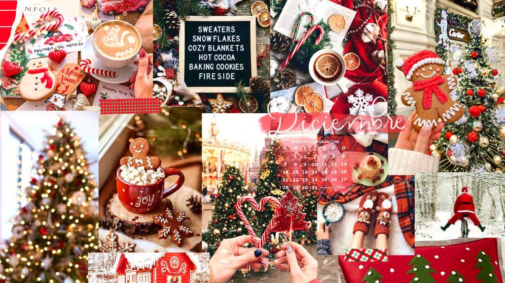 Get Into The Christmas Spirit With This Beautiful