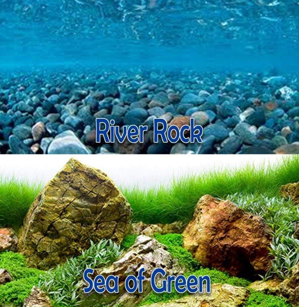 Amazon Sea Riverrock Of Green Aquarium