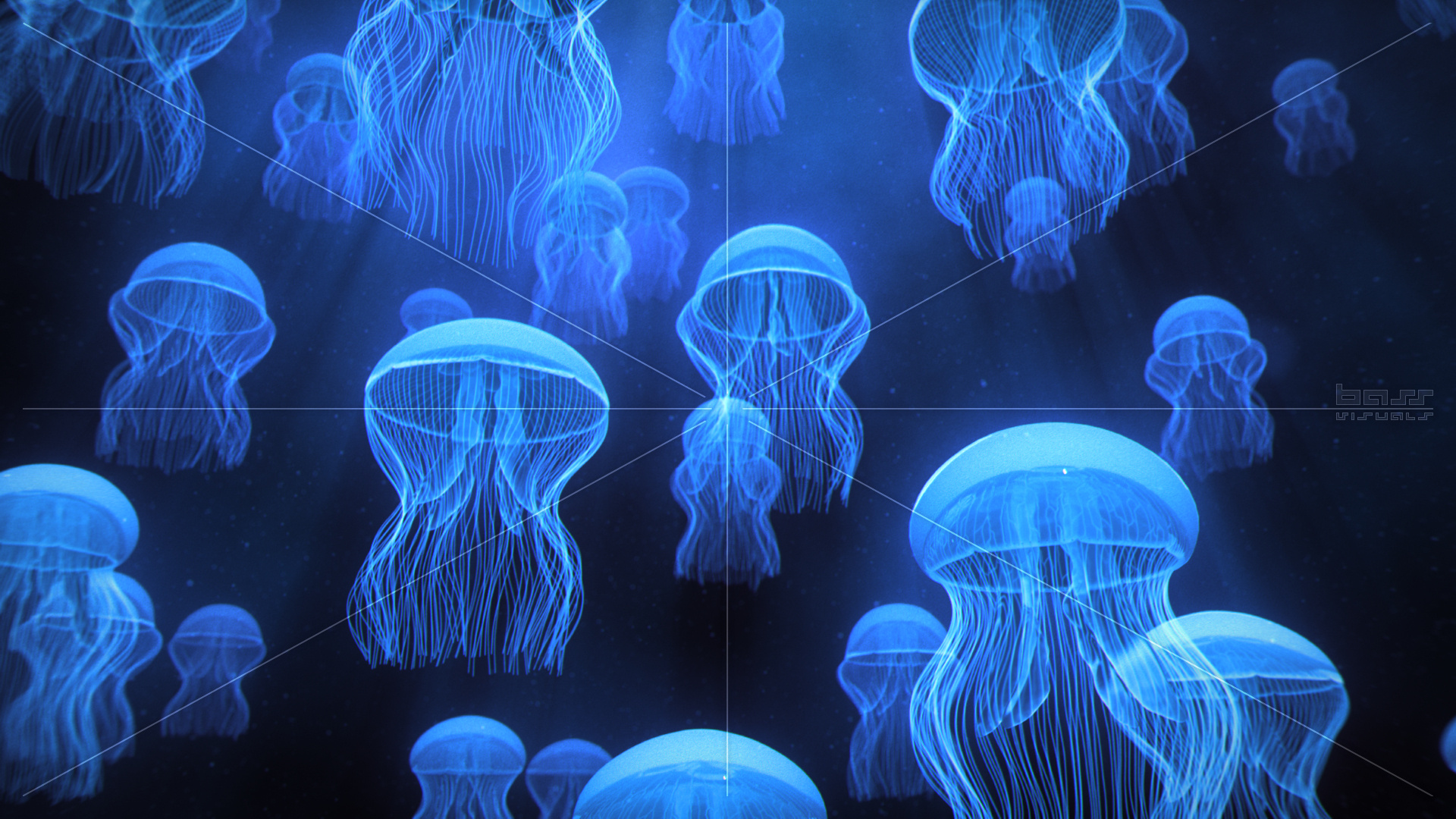 Many Jellyfish Ascending Towards Light Rays Available In Blue Purple