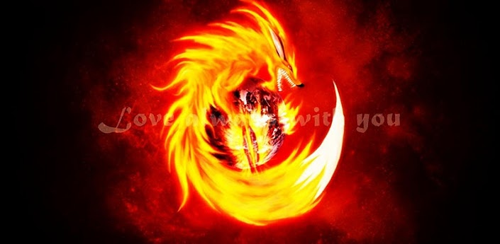 Related Pictures fire wolf wallpaper hawaii dermatology