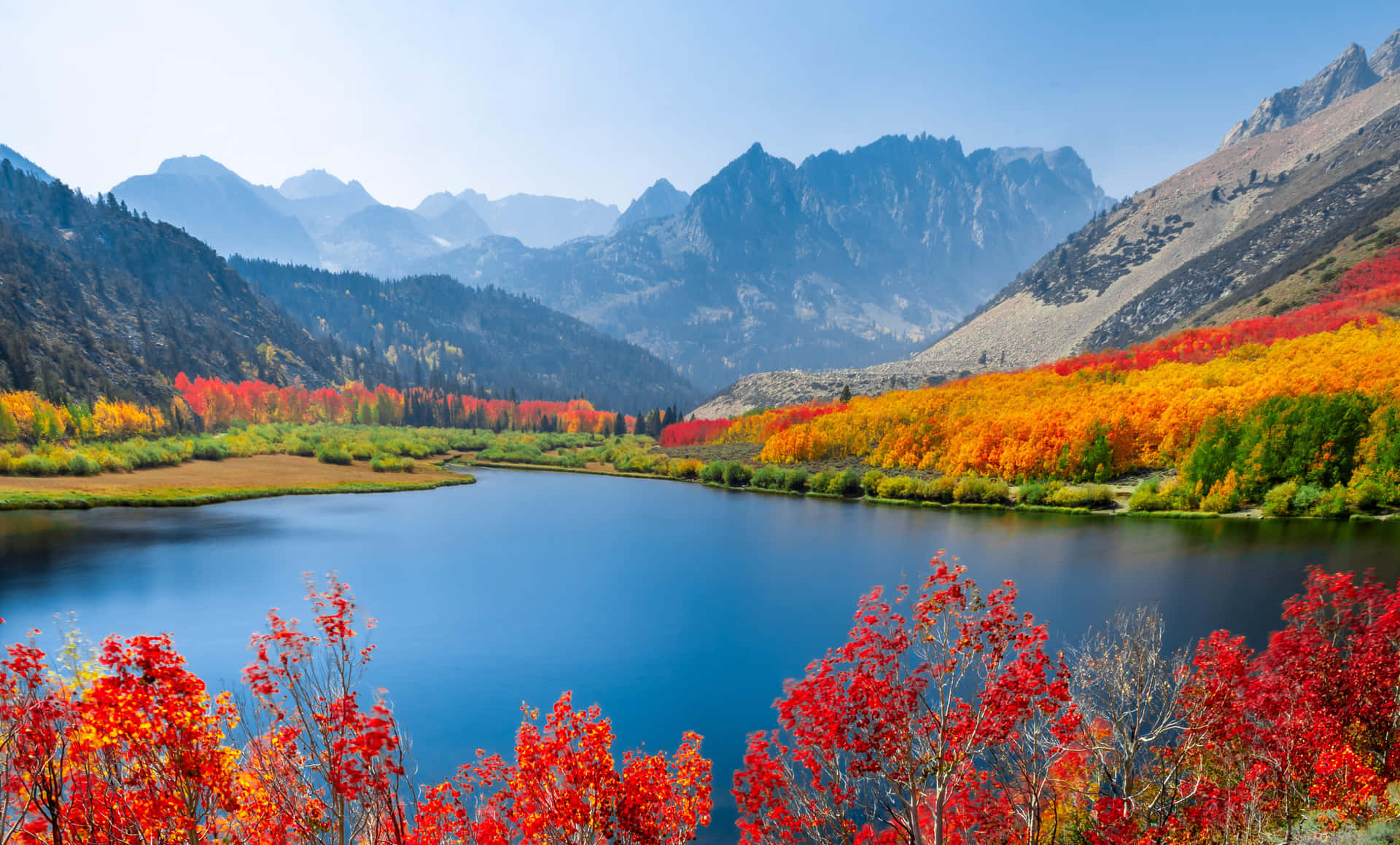Early Fall Wallpaper