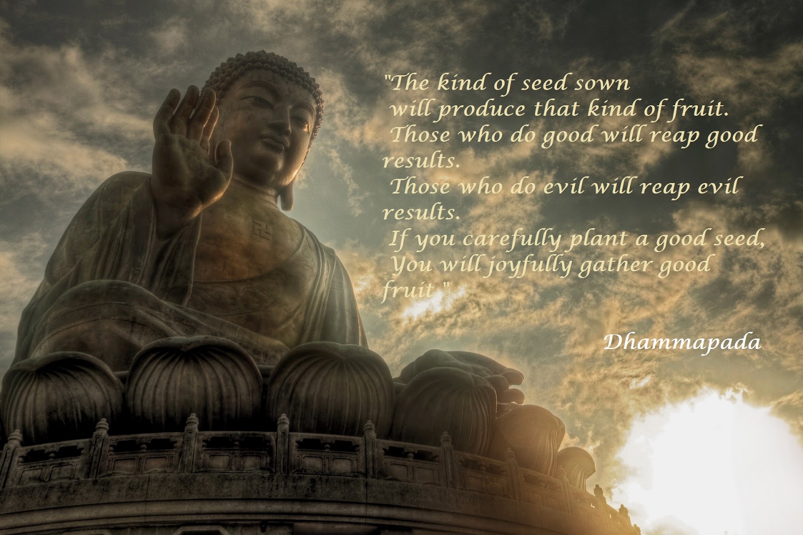 Image Quotes Buddha Sayings Life Change Wallpaper