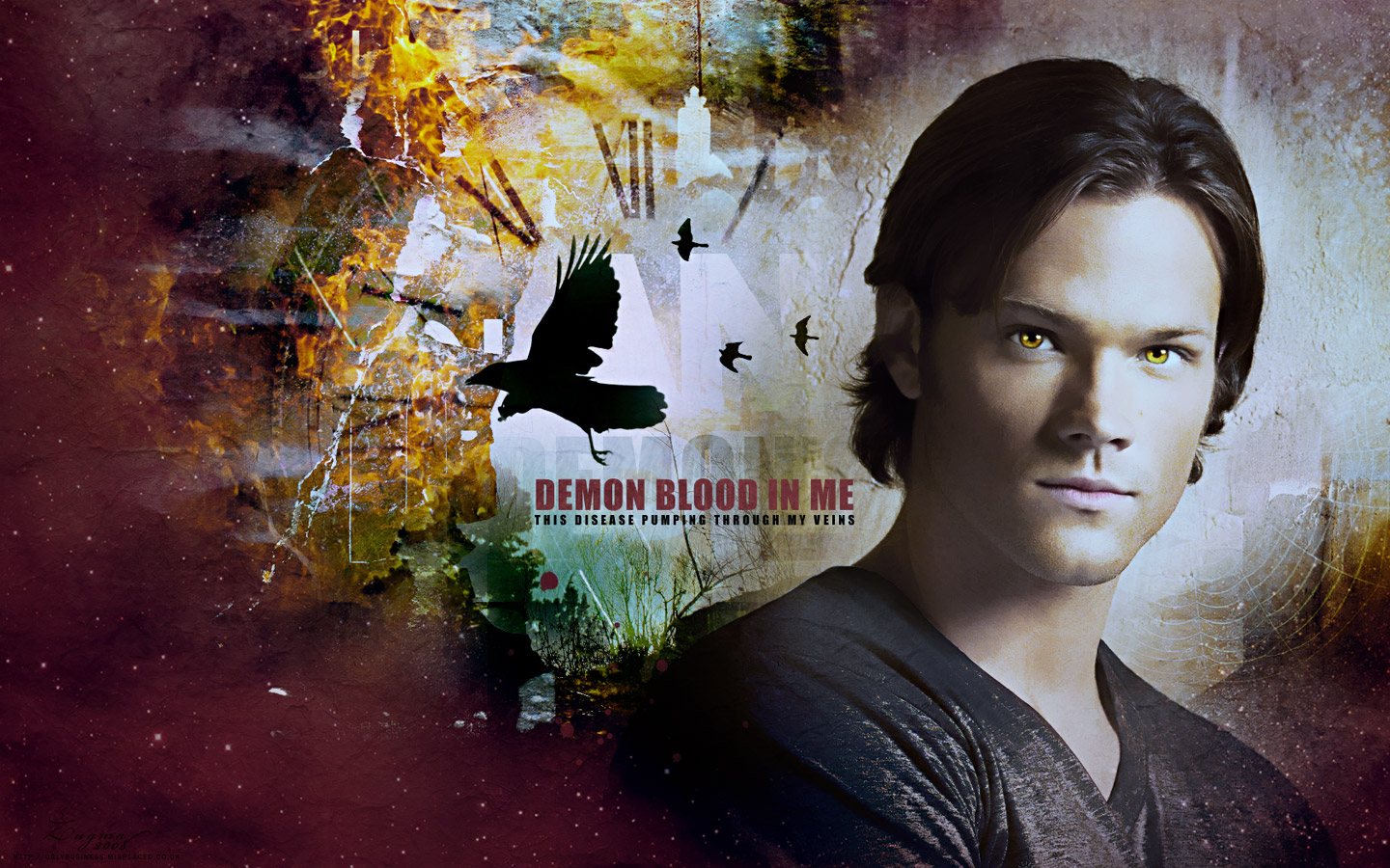 Sam Winchester images Sam HD wallpaper and background