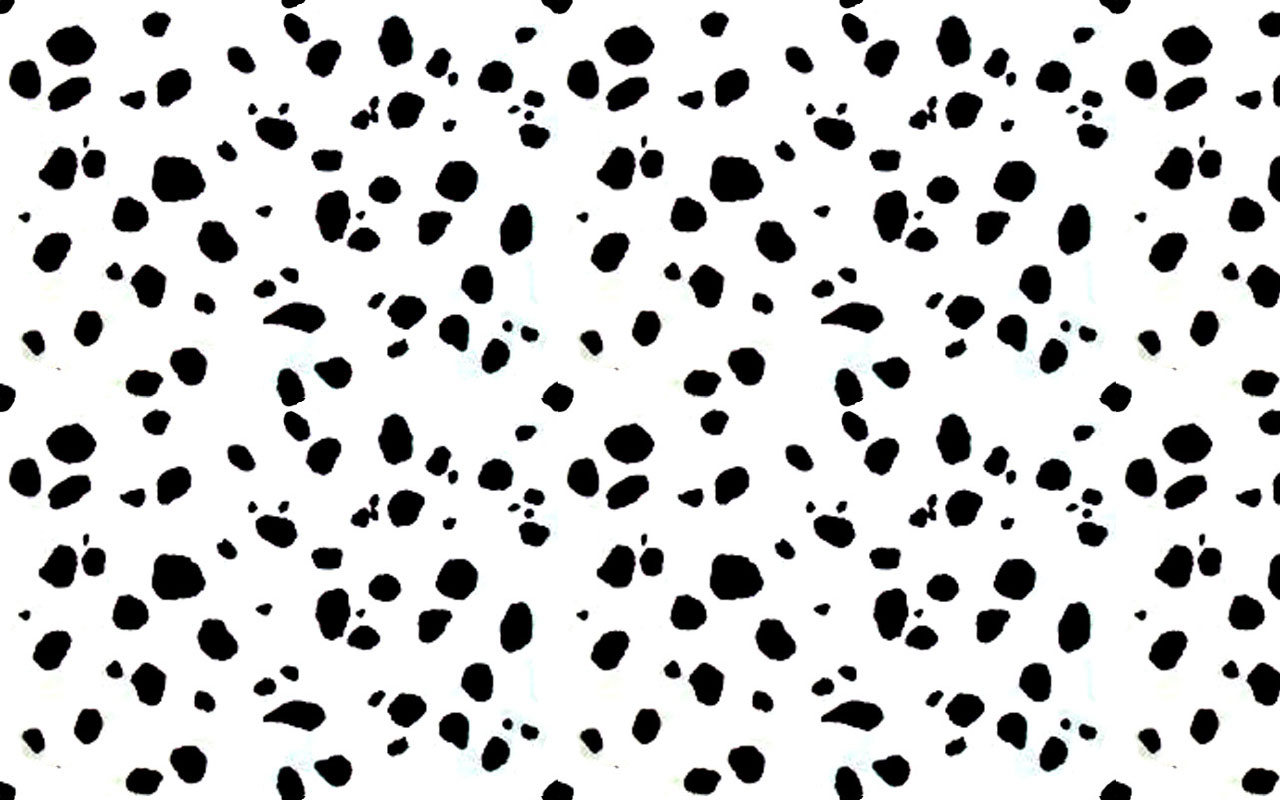Dalmatian Background Wallpaper