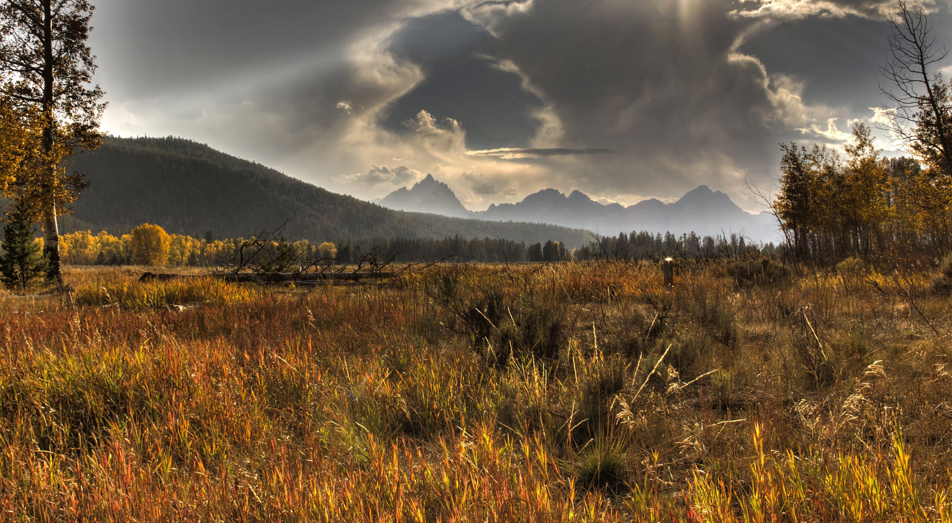 North America Priority Landscapes The Nature Conservancy