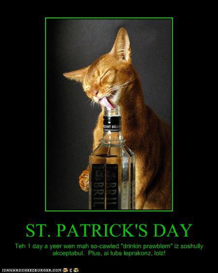 st patricks day dog sayings