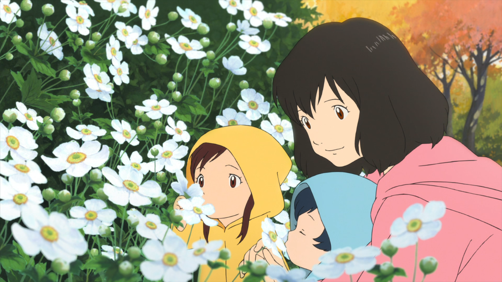 Wolf Children From Ame To Yuki Image HD Wallpaper