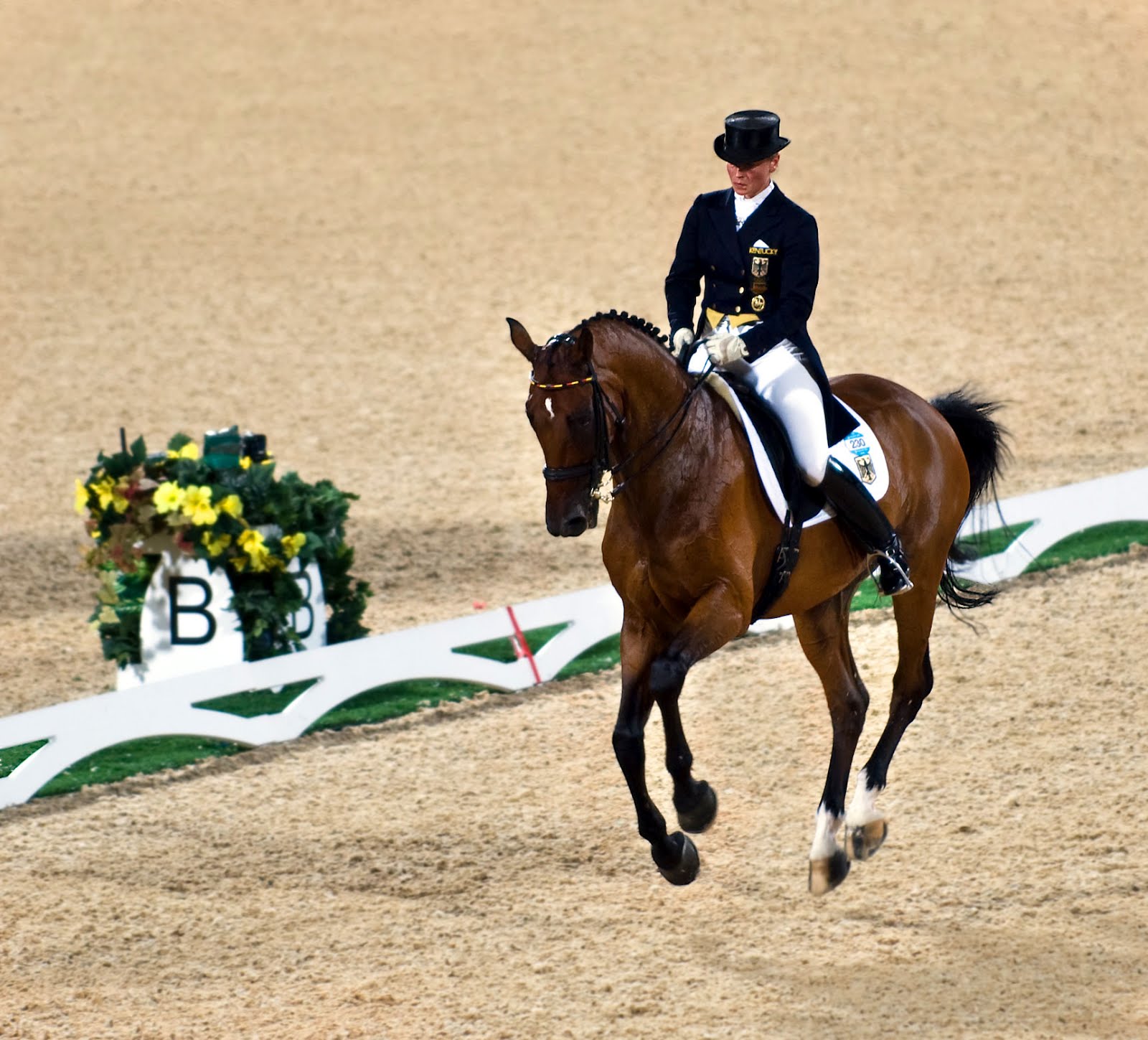 Free download Dressage Wallpapers [1600x1449] for your Desktop, Mobile