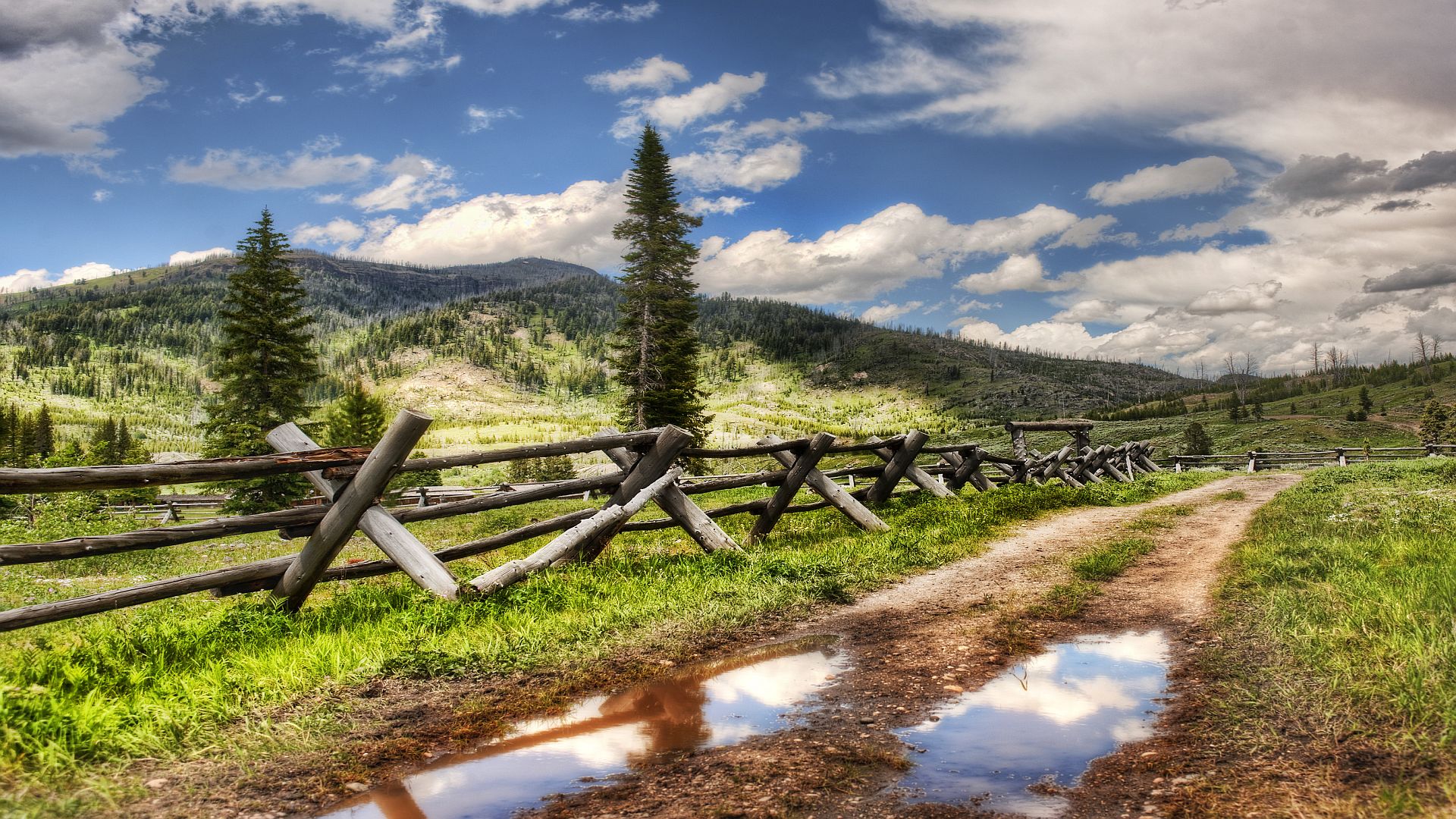 Nature Road Wallpaper Tree Fence Country