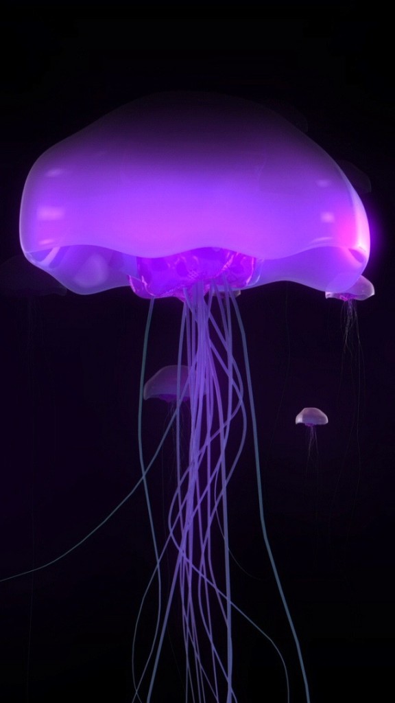 Purple Jellyfish Wallpaper iPhone