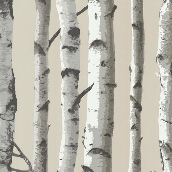 Wallpaper Birch Tree Design Joy Studio Gallery Best