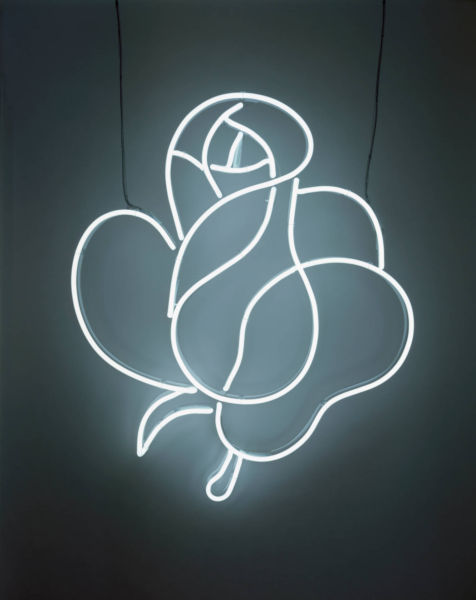 Top White Neon Aesthetic Wallpaper Full HD 4k To Use