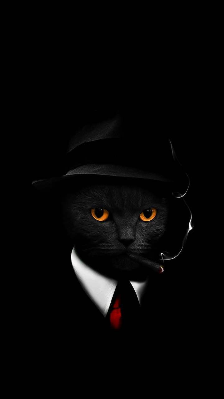 Free download Download COOL CAT wallpaper by hende09 40 Free on ZEDGE now  [720x1280] for your Desktop, Mobile & Tablet | Explore 29+ Cool Black Cat  Wallpapers | Wallpaper Black Cat, Black