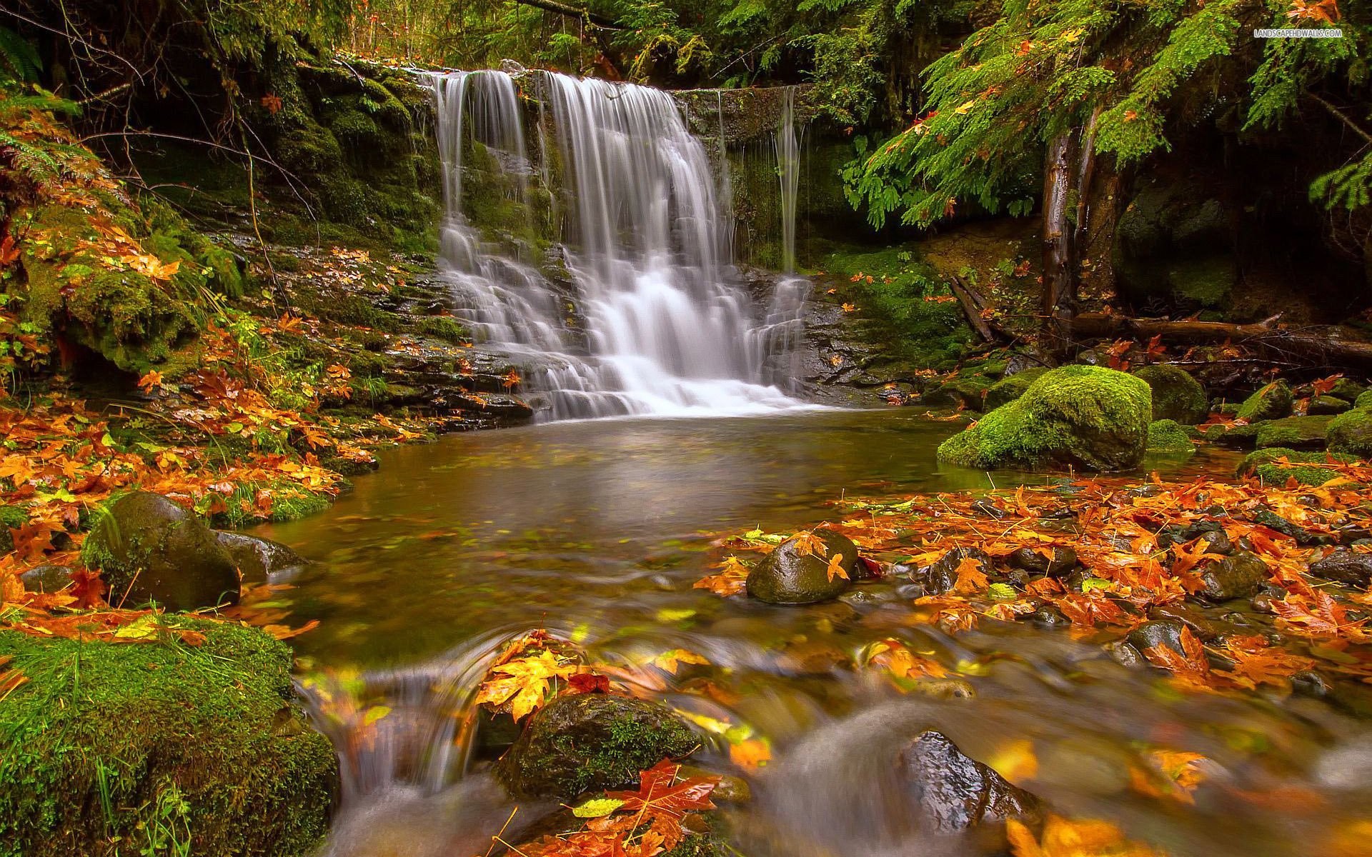 Early Fall Desktop Wallpaper