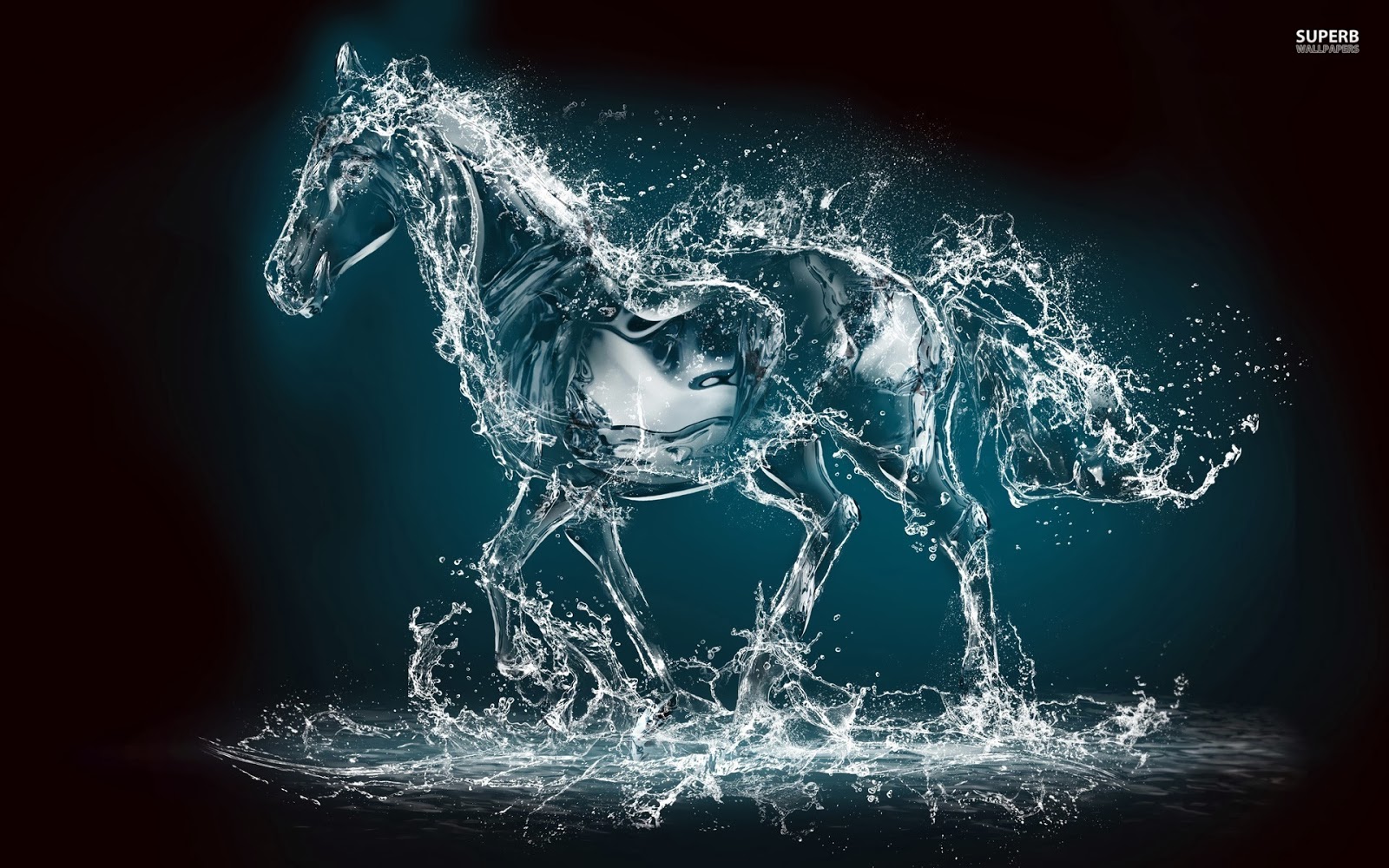 Water Horse Wallpaper HD