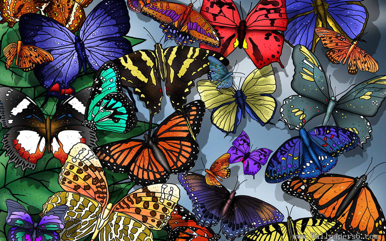 Butterfly Design Wallpaper Windows Xp