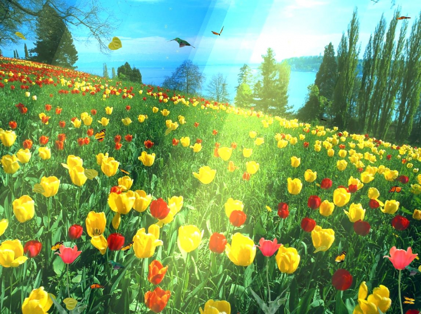 HD 3d Wallpaper Animated Flowers