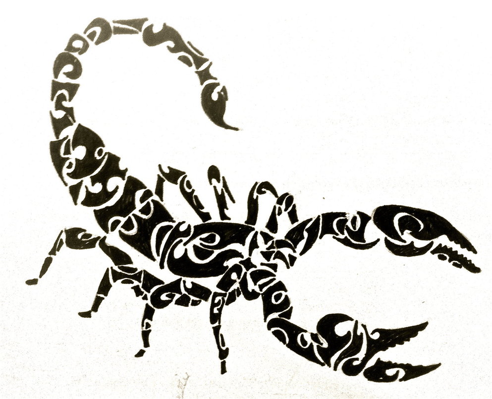 Tribal Scorpion By Animaniake