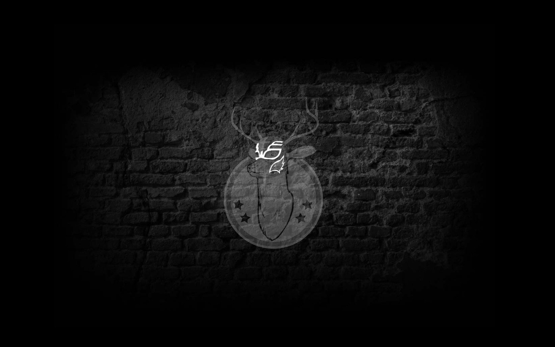 Profile Picture Wallpaper