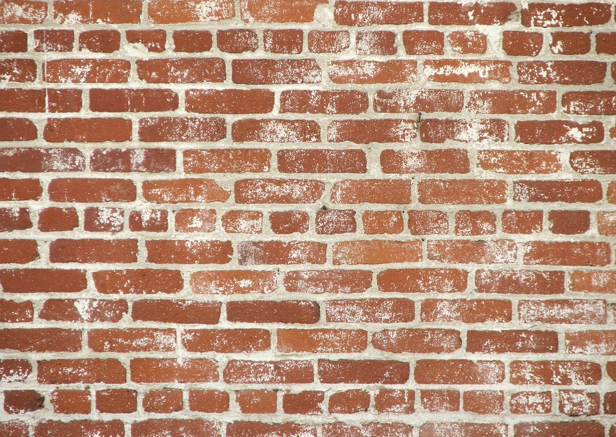 Brick Wall Texture Photo Image Bricks Masonry