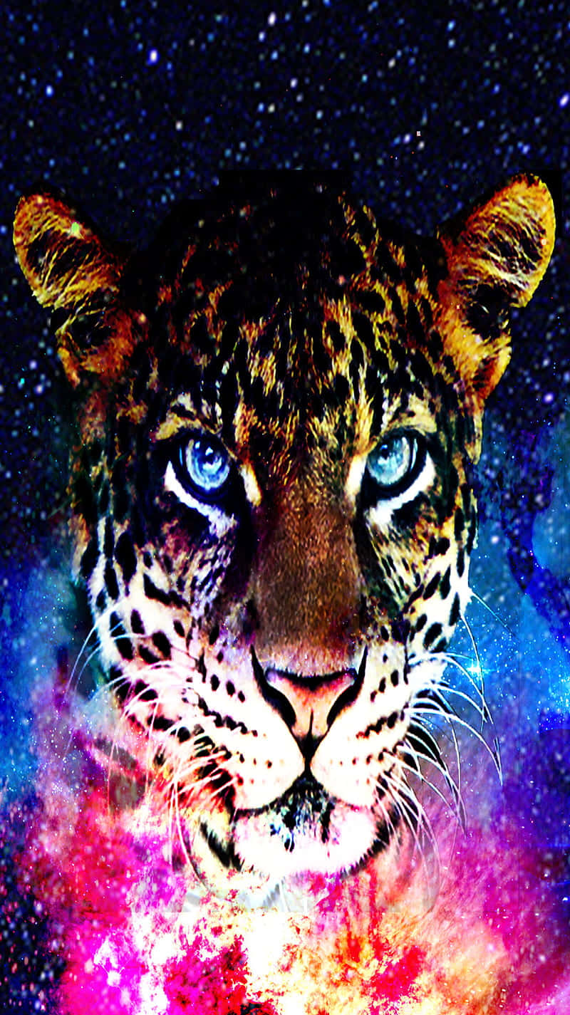 Cool Animal Galaxy Wallpaper