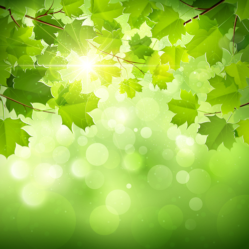 Sunlight And Green Leaf Nature Background Vector