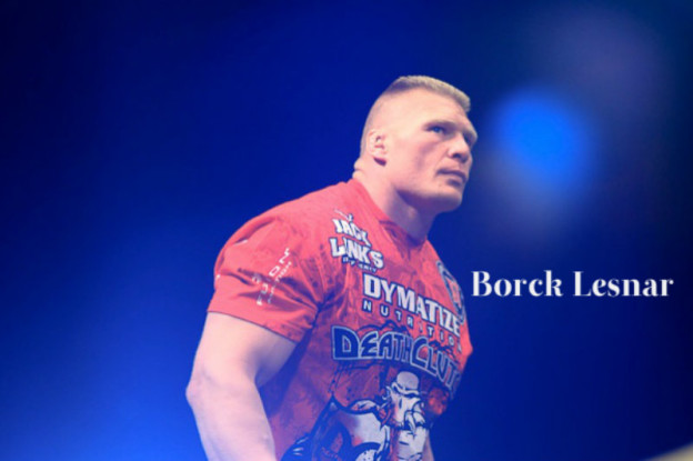 Best Collection Of Brock Lesnar Image