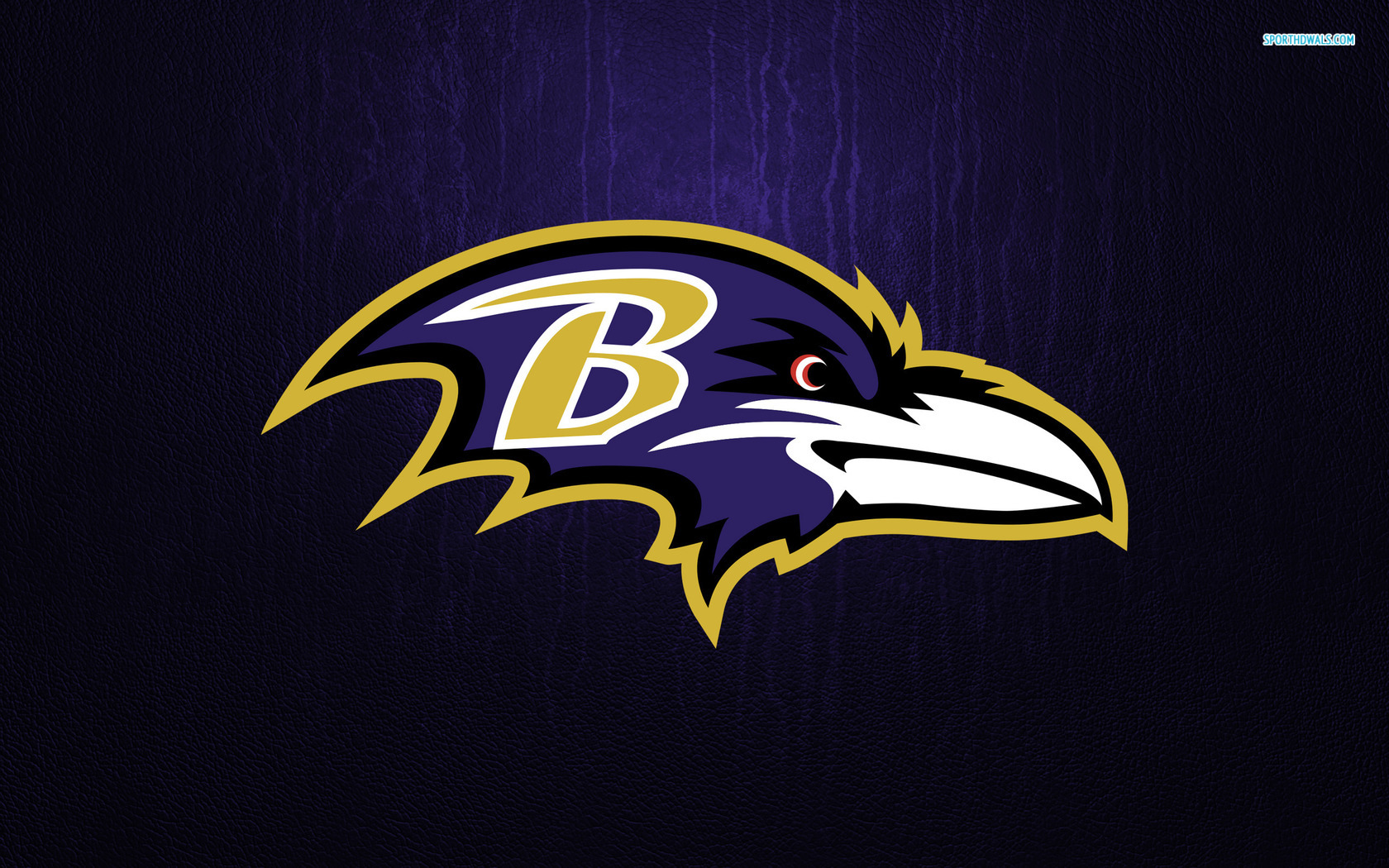Baltimore Ravens Wallpaper Background What More Could You Ask D