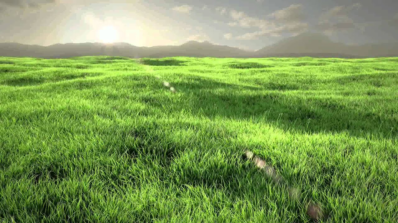 HD] Grass Animation   Covered Next Tutorial   Animation