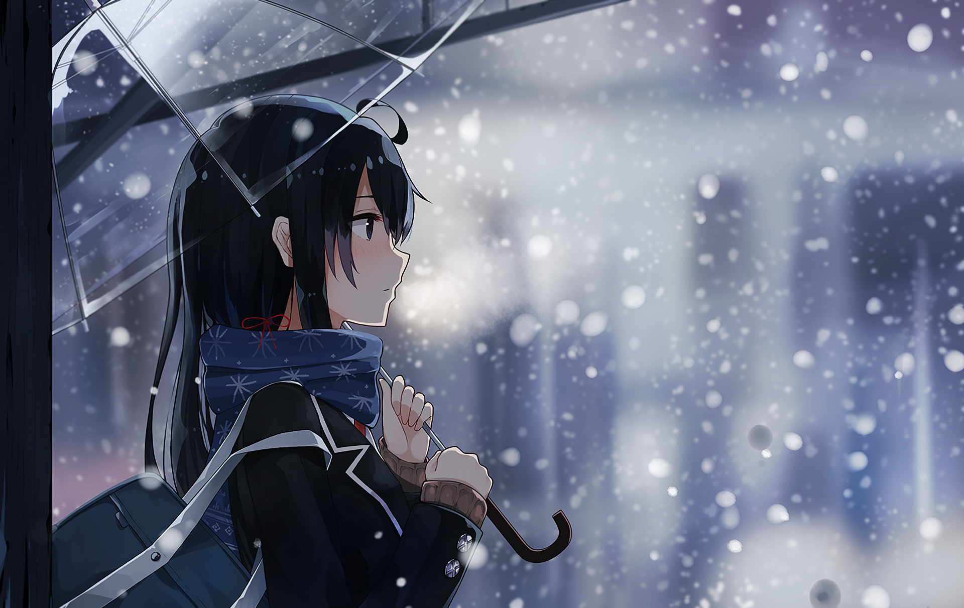 Yukino Yukinoshita Umbrella HD Wallpaper Background Image