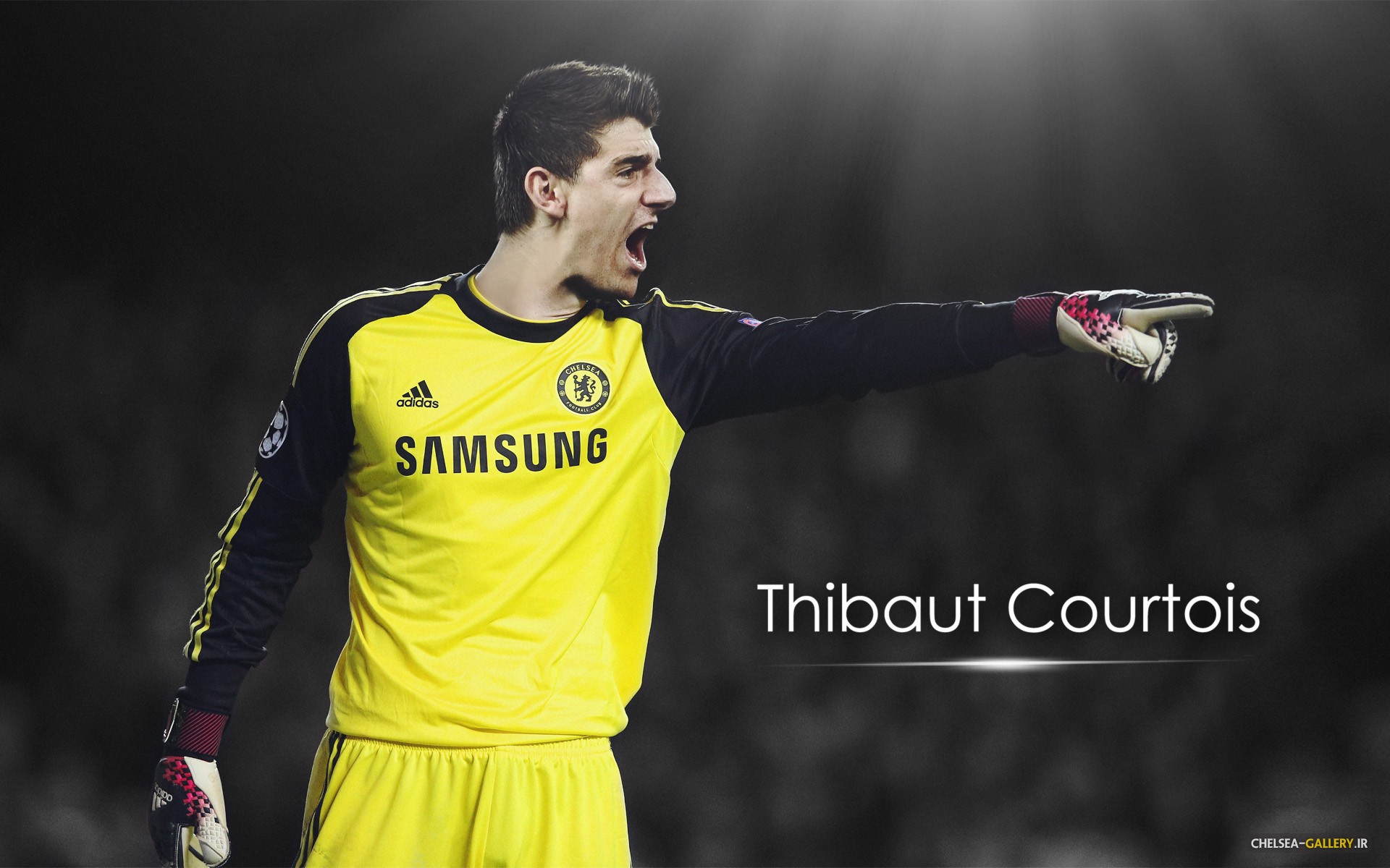 Chelsea Fc Courtois Wallpaper And Background Celebrity Tokkoro