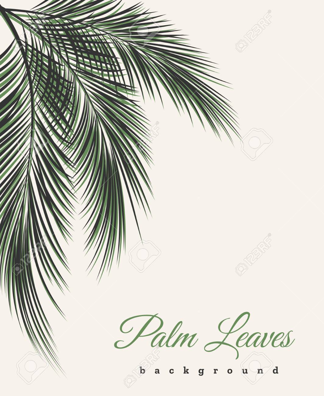 Palm Leaves Vintage Background Tree Leaf Feathers Pattern