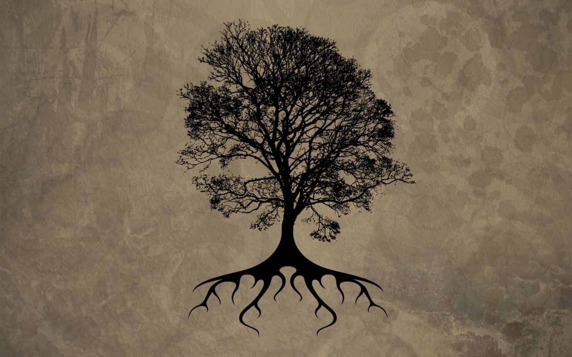 Trees Silhouette Roots Wallpaper