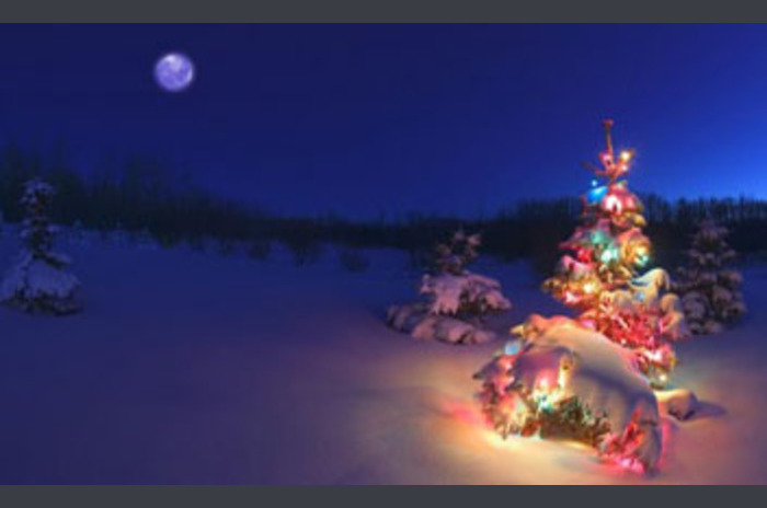Sthnte si program Christmas Tree Live Wallpaper Tapeta pro Android