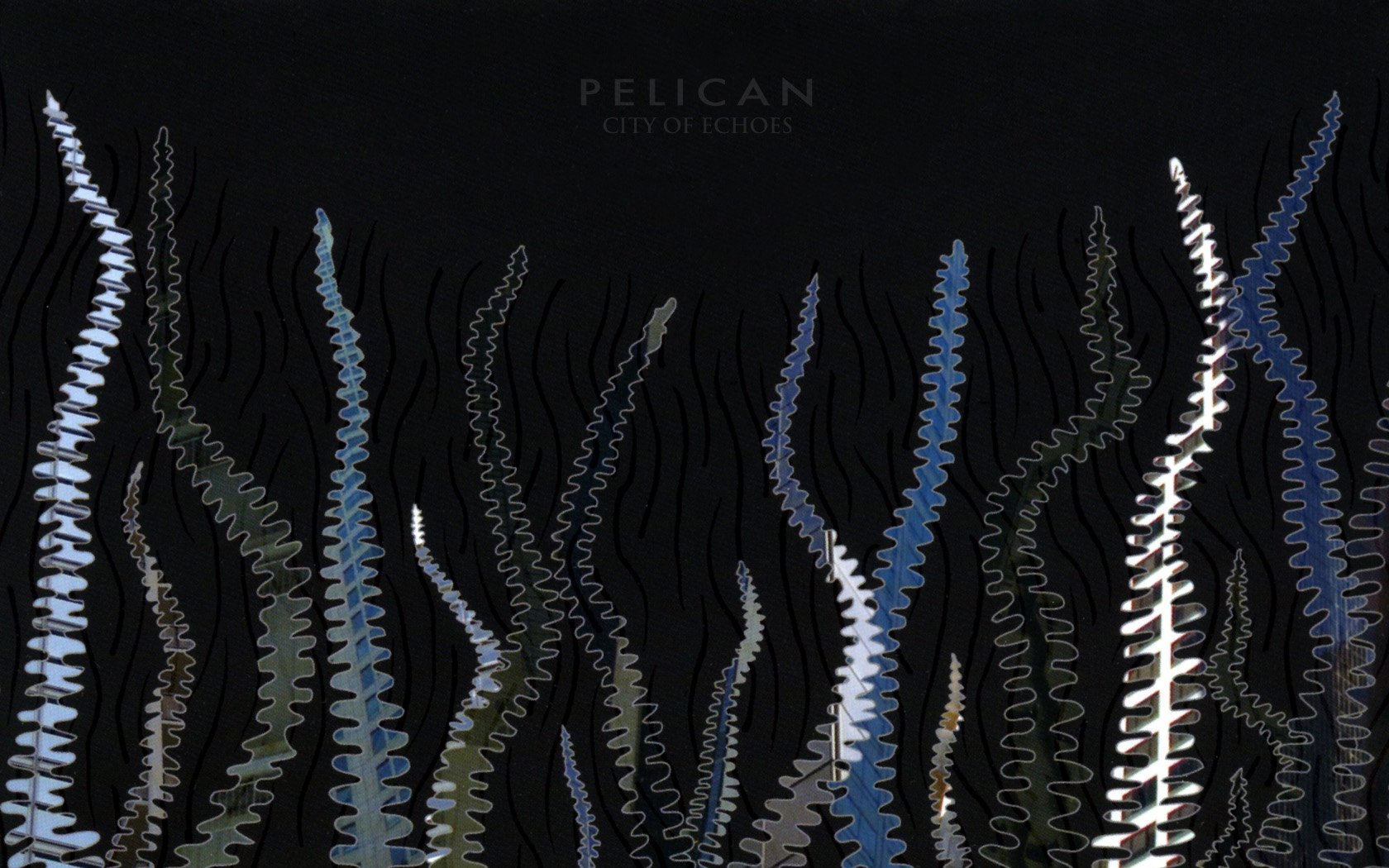 Music Pelican Wallpaper
