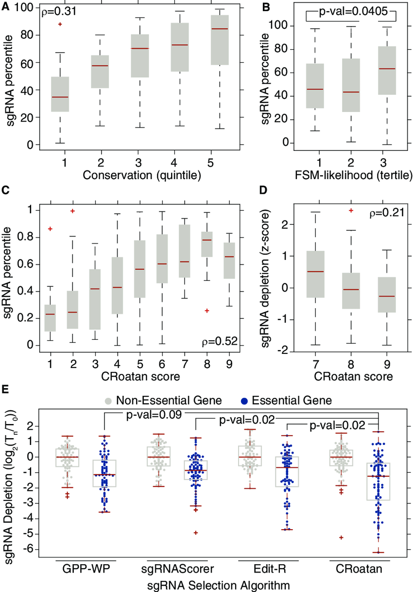 Croatan An Algorithm For Identifying Potent Sgrnas A The