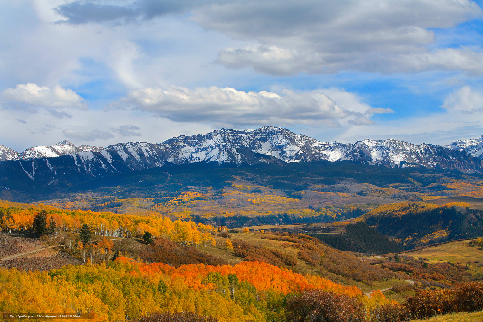 Divide Fall Aspen Forest Mountains Colorado Desktop Wallpaper