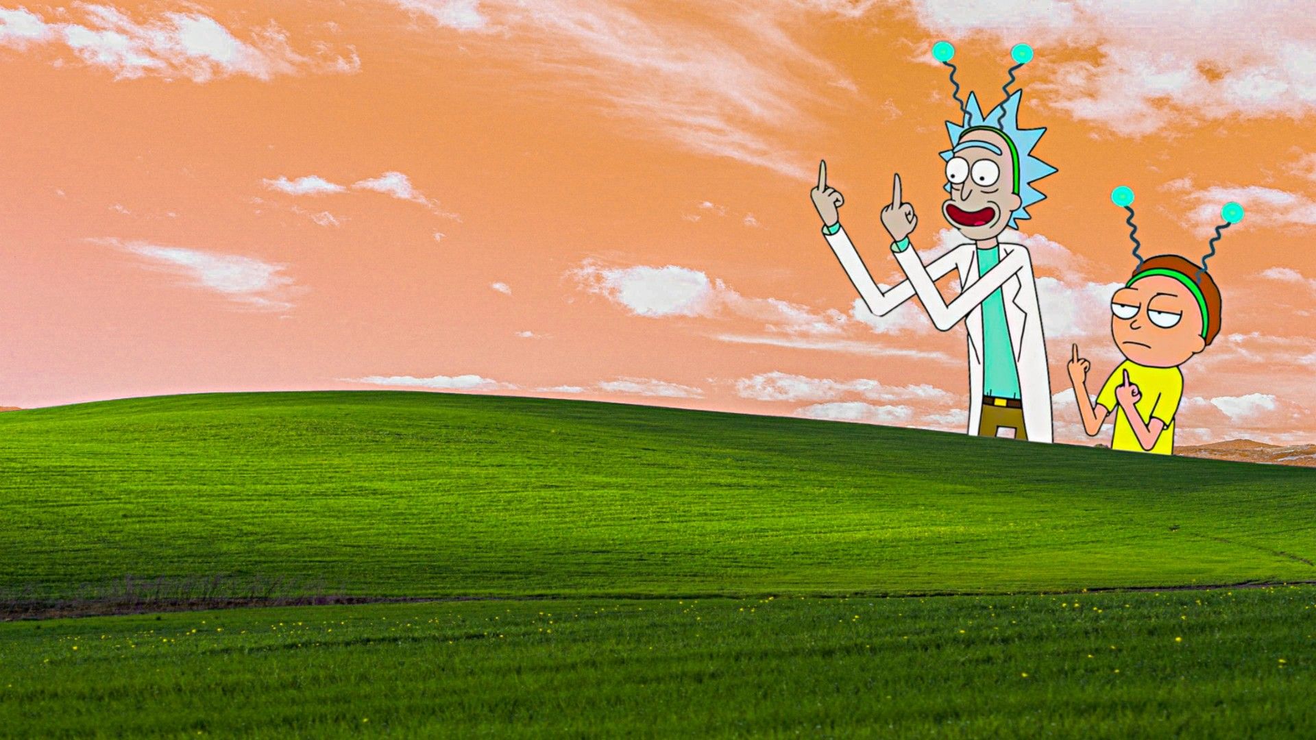 Rick And Morty Pc Wallpaper Nel